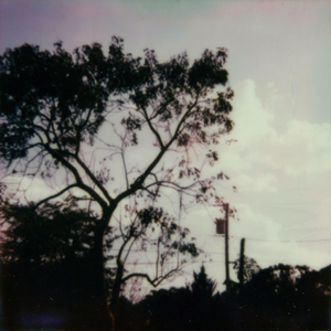 黄色疯狂大奶头玩小鸡巴女人强奸送外买
